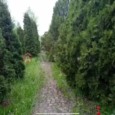 Зняти будинок - Дніпро, Дніпровська вул.. Оренда нерухомості - Місто і передмістя, вторинний ринок і новобуд недорого, ціна до 25000грн, оголошення №1942374 фото 5