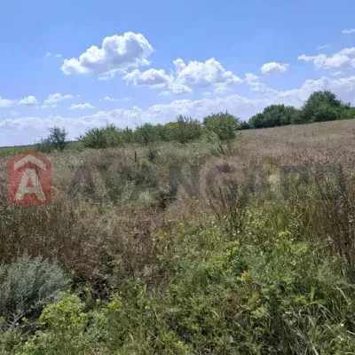 Купити ділянку - Черкаська обл., Сагунівка с.. Продаж нерухомості - Черкаський, вторинний ринок і новобуд недорого, ціна до 10000$, оголошення №1994701 фото 6
