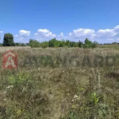 Купити ділянку - Черкаська обл., Сагунівка с.. Продаж нерухомості - Черкаський, вторинний ринок і новобуд недорого, ціна до 10000$, оголошення №1994701 фото 8