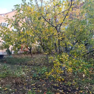 Купити будинок - Дніпро. Продаж нерухомості - Соборний (Жовтневий), вторинний ринок і новобуд недорого, ціна до 60000$, оголошення №1990663 фото 16