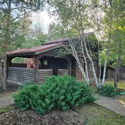 Купити будинок - Дніпропетровська обл., Піщанка с.. Продаж нерухомості - Новомосковський, вторинний ринок і новобуд недорого, ціна до 160000$, оголошення №1989640 фото 2
