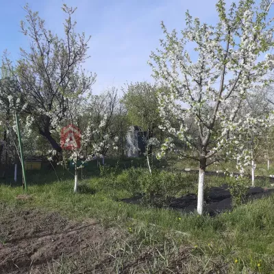 Купити будинок - Дніпропетровська обл., Дніпрове с.. Продаж нерухомості - Дніпровський, вторинний ринок і новобуд недорого, ціна до 15000$, оголошення №1988357 фото 2