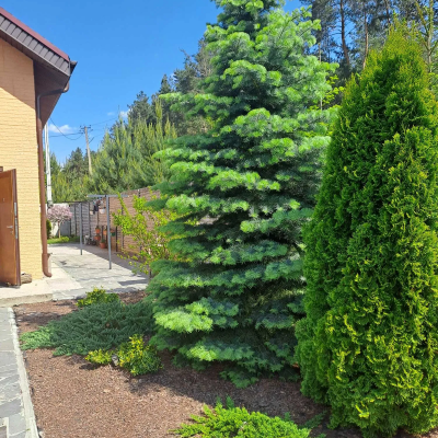 Купити будинок - Київська обл., Калинівка с.. Продаж нерухомості - Макарівський, вторинний ринок і новобуд недорого, ціна до 168200$, оголошення №2033645 фото 2