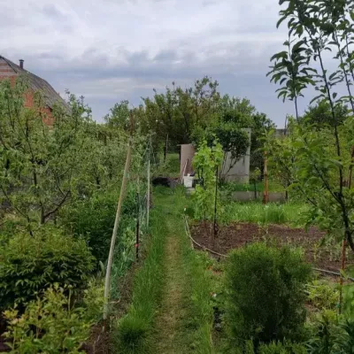 Купити будинок - Дніпропетровська обл.. Продаж нерухомості - Дніпровський, вторинний ринок і новобуд недорого, ціна до 29000$, оголошення №1760321 фото 4