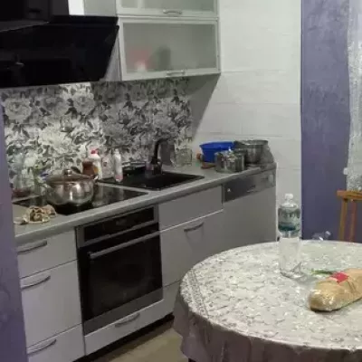 Купити будинок - Дніпро, Соснова вул.24. Продаж нерухомості - Чечелівський (Червоногвардійський), вторинний ринок і новобуд недорого, ціна до 40000$, оголошення №1716059 фото 2