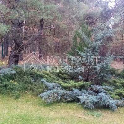 Зняти будинок - Харківська обл., Лісна вул., Артюхівка с.. Оренда нерухомості - Чугуївський, вторинний ринок і новобуд недорого, ціна до 60000грн, оголошення №2036611 фото 7